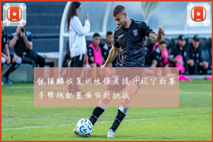 张镇麟恢复训练强度提升辽宁新赛季锋线配置面临新挑战