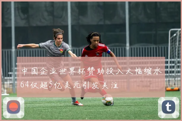 中国企业世界杯赞助投入大幅缩水64仅超5亿美元引发关注