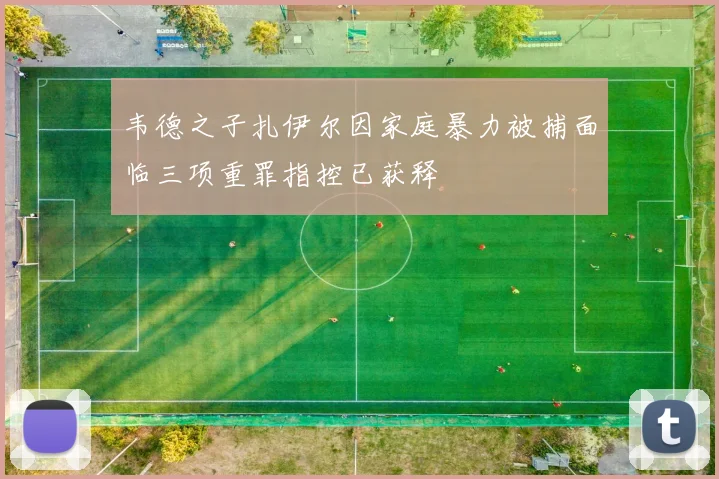 韦德之子扎伊尔因家庭暴力被捕面临三项重罪指控已获释